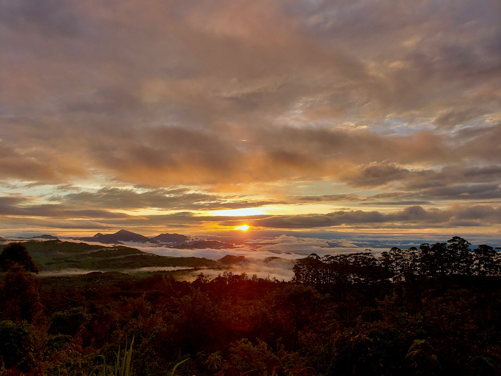 Sunset