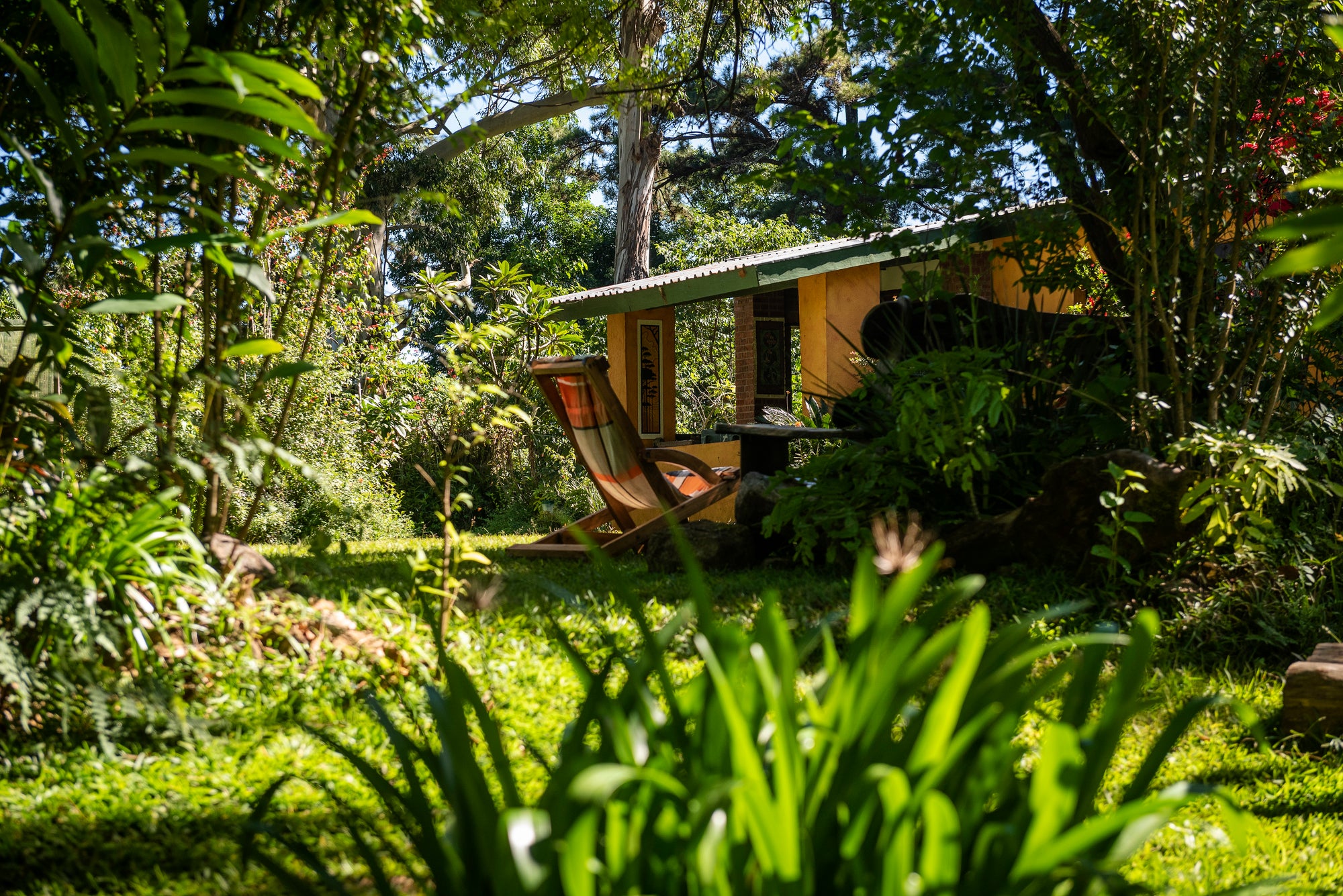 Side view of Zomba Forest Lodge