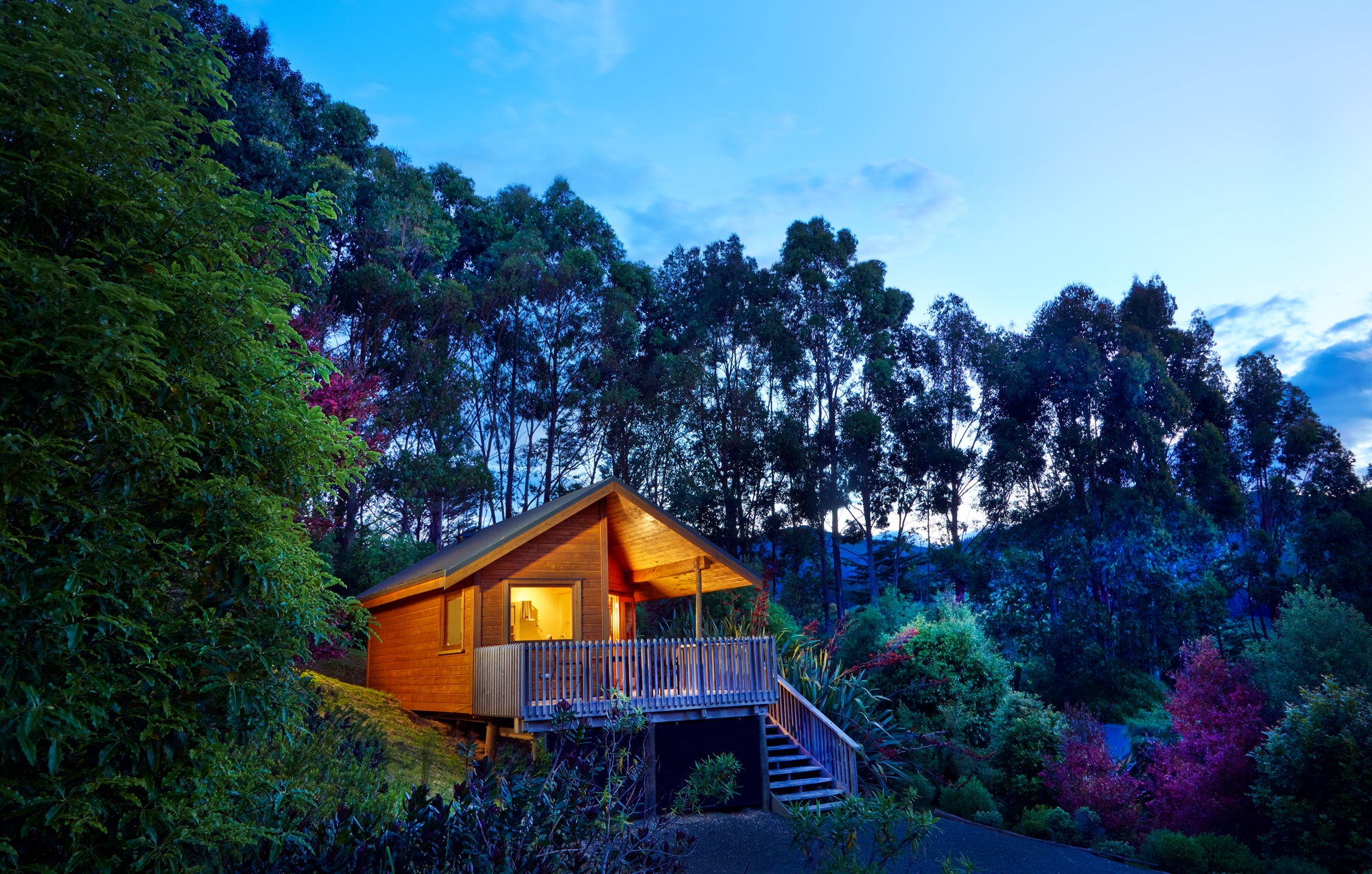Bush Chalet