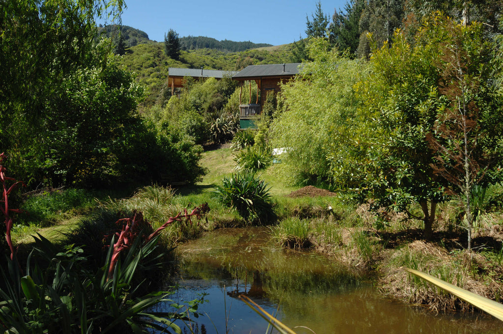 Bush Lodge