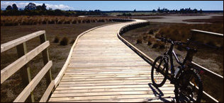 Cycling