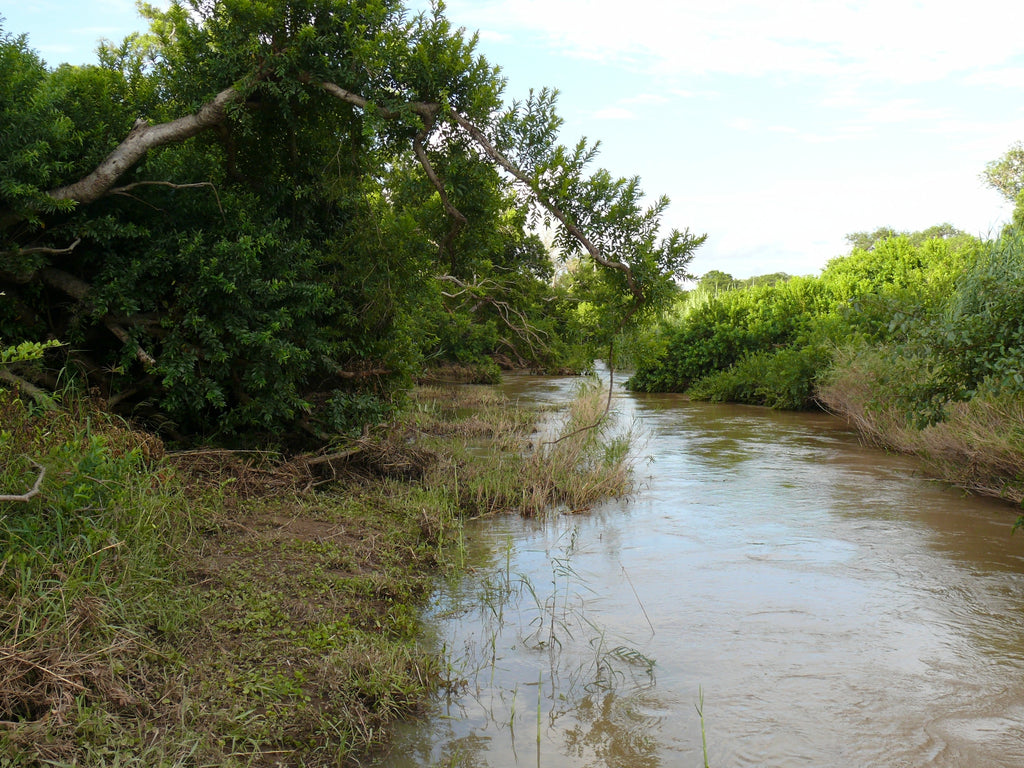 The Klaserie river