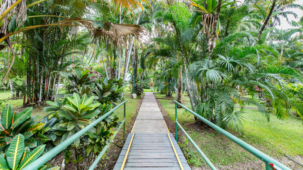 Hotel gardens.