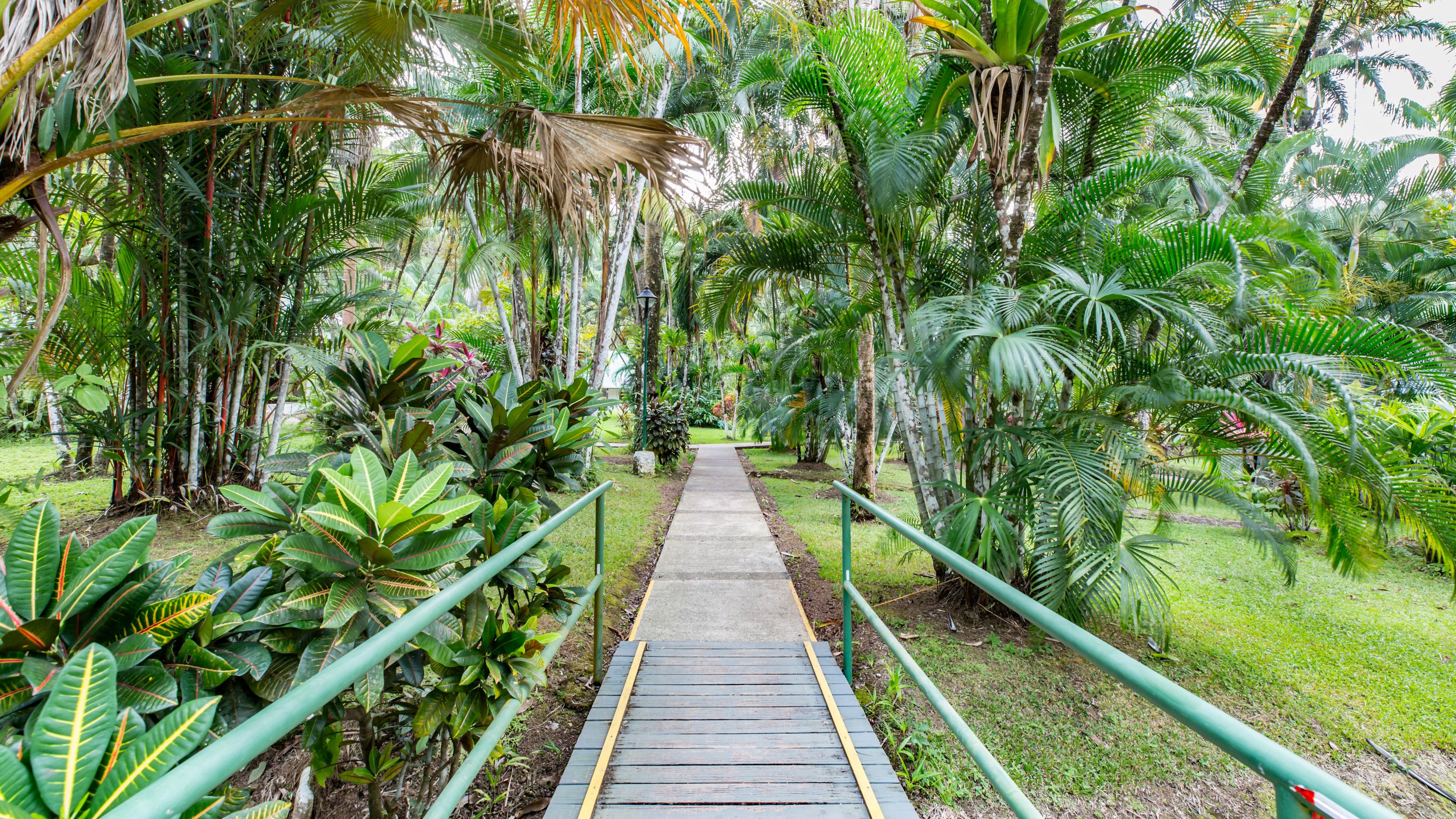 Hotel gardens.