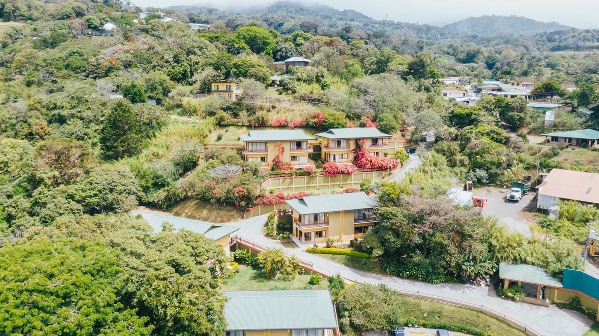 Ficus Hotel