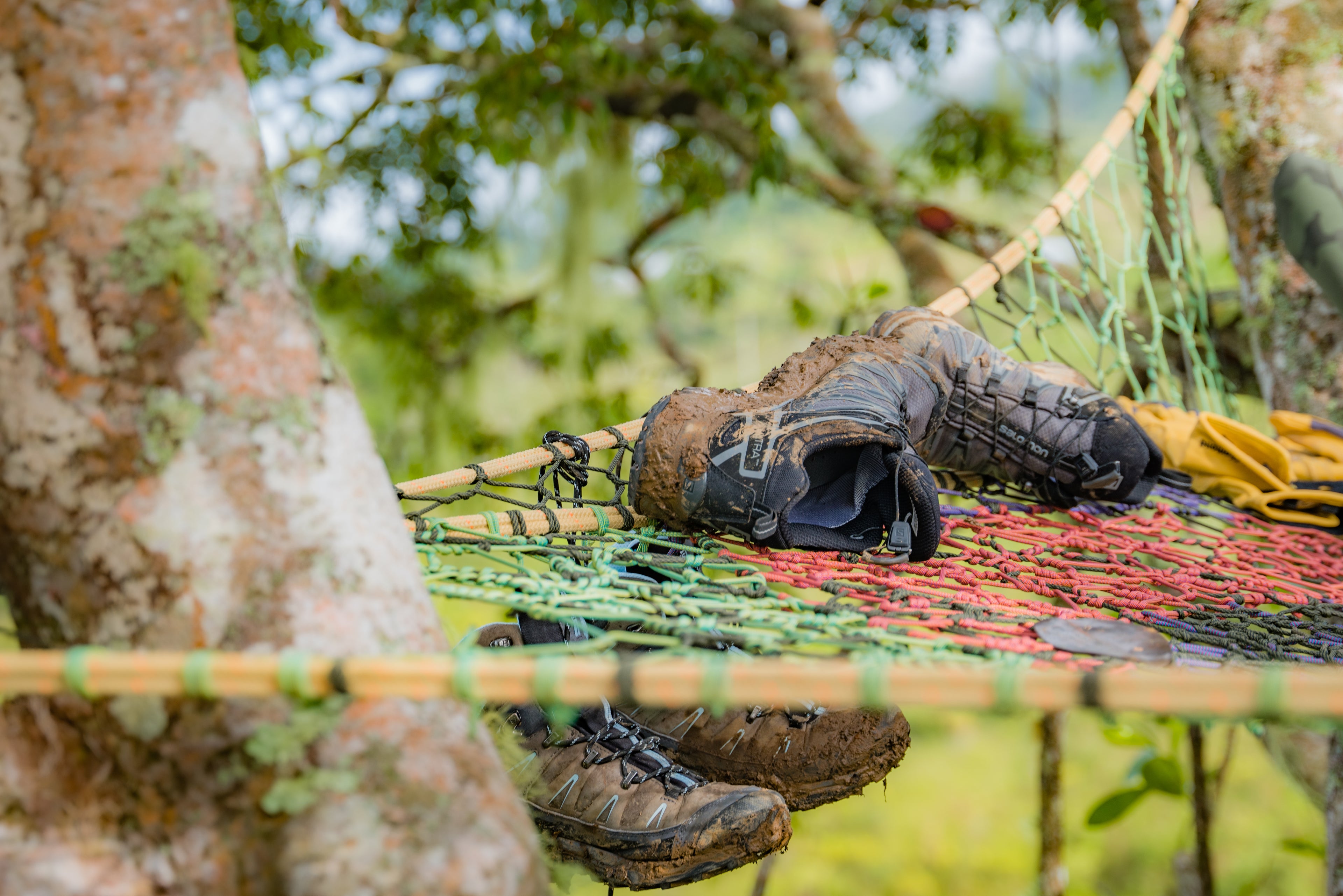 High Canopy Tree Net