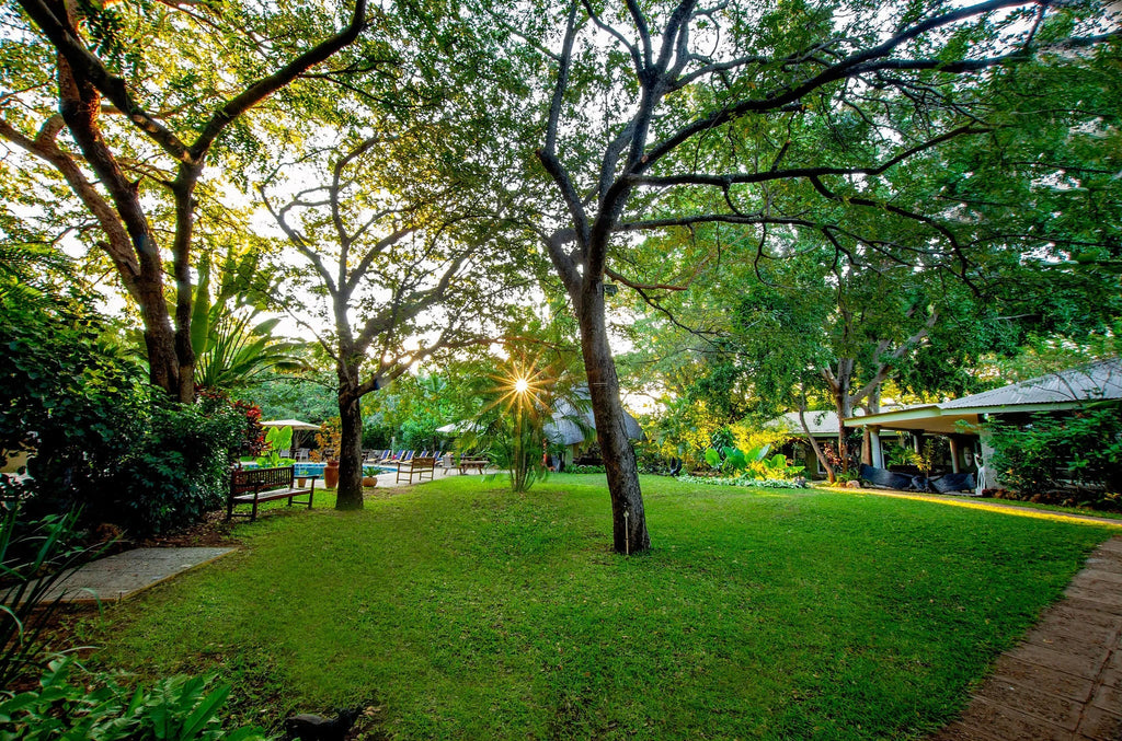 Bayete Garden at Bayete Guest Lodge, Victoria Falls (Zimbabwe), Zimbabwe.