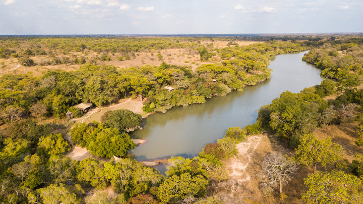 Fig Tree Bush Camp