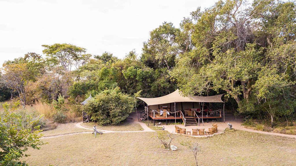 Fig Tree Boma