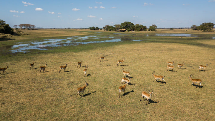 Busanga Plains Camp
