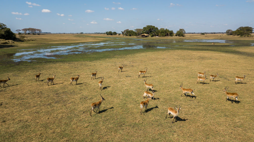 Busanga Plains Camp