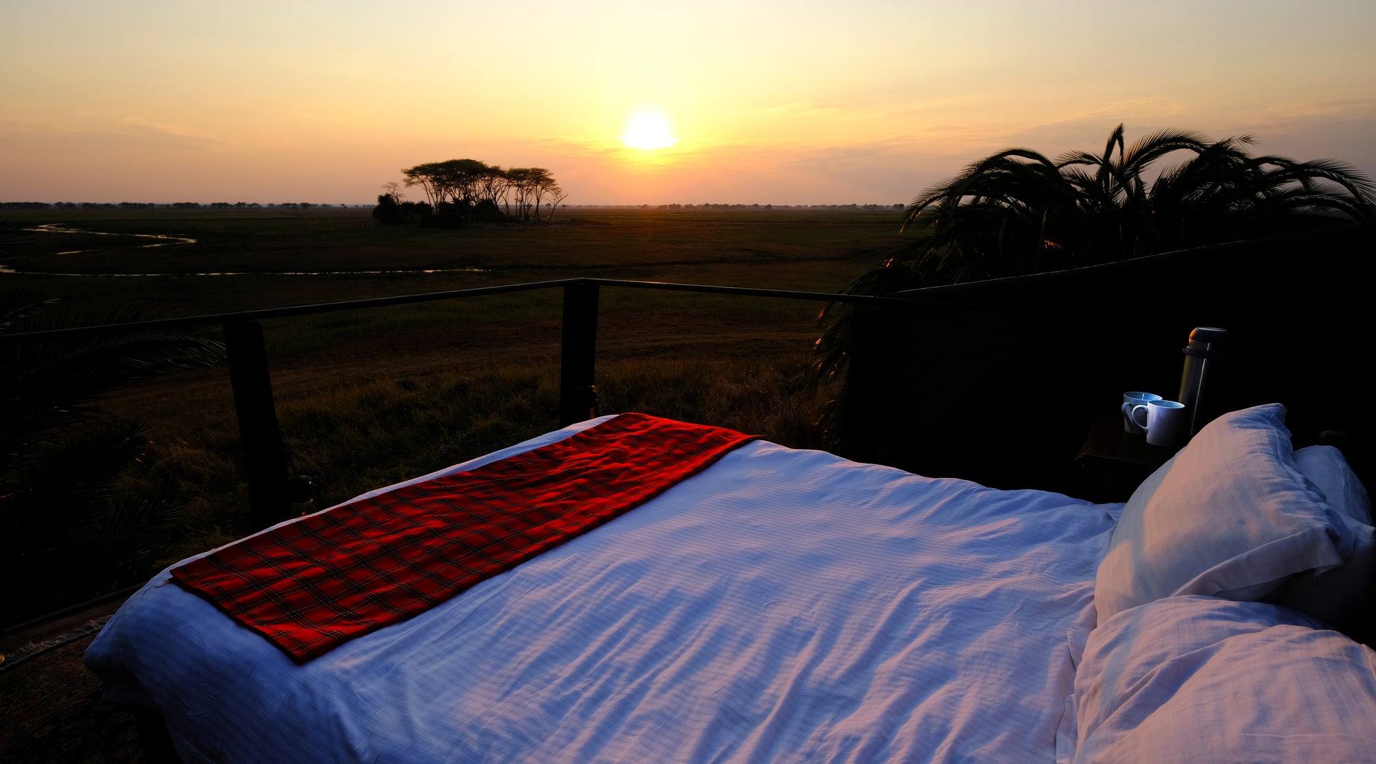 Star Bed - Sunrise - Busanga Plains Camp
