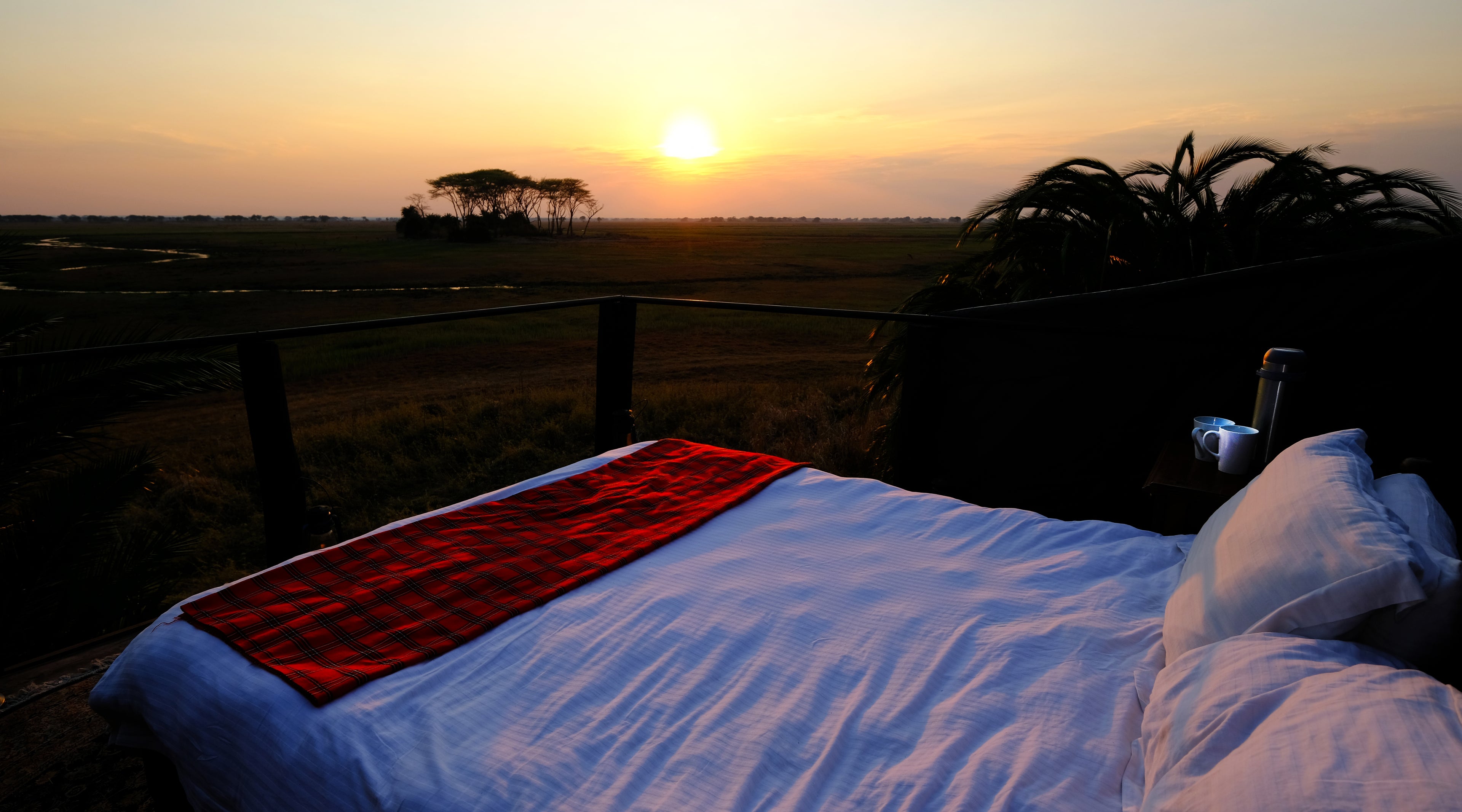 Star Bed - Sunrise - Busanga Plains Camp