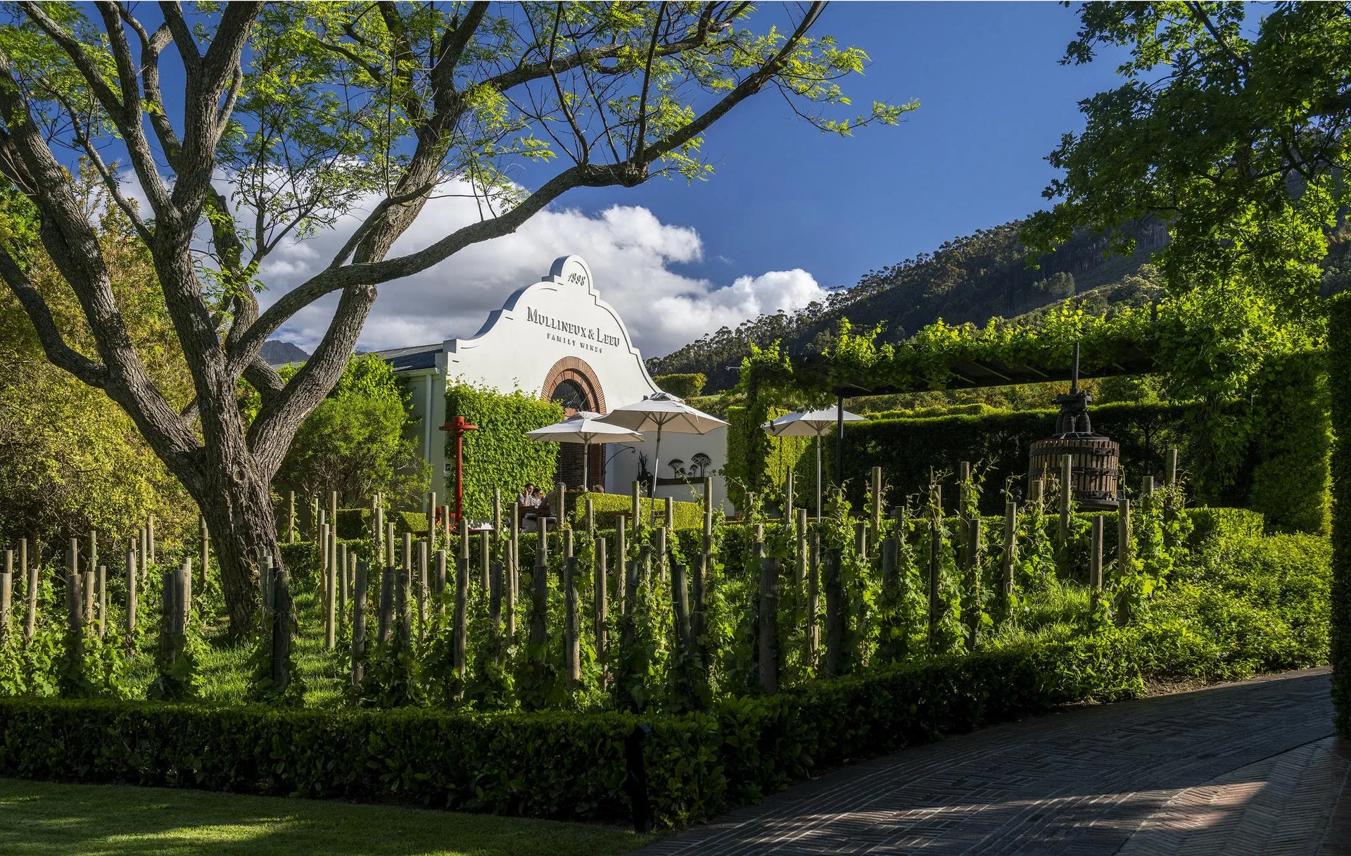 The Wine Studio
