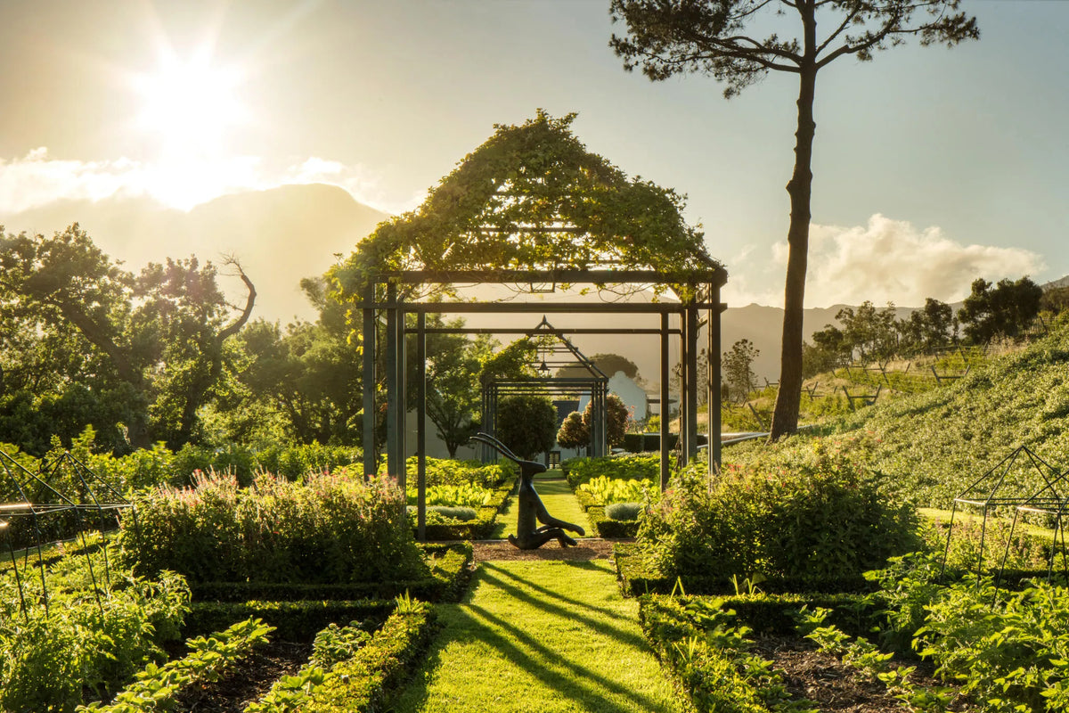 Leeu Estates - Herb Garden at Leeu Estates, Franschhoek, South Africa.