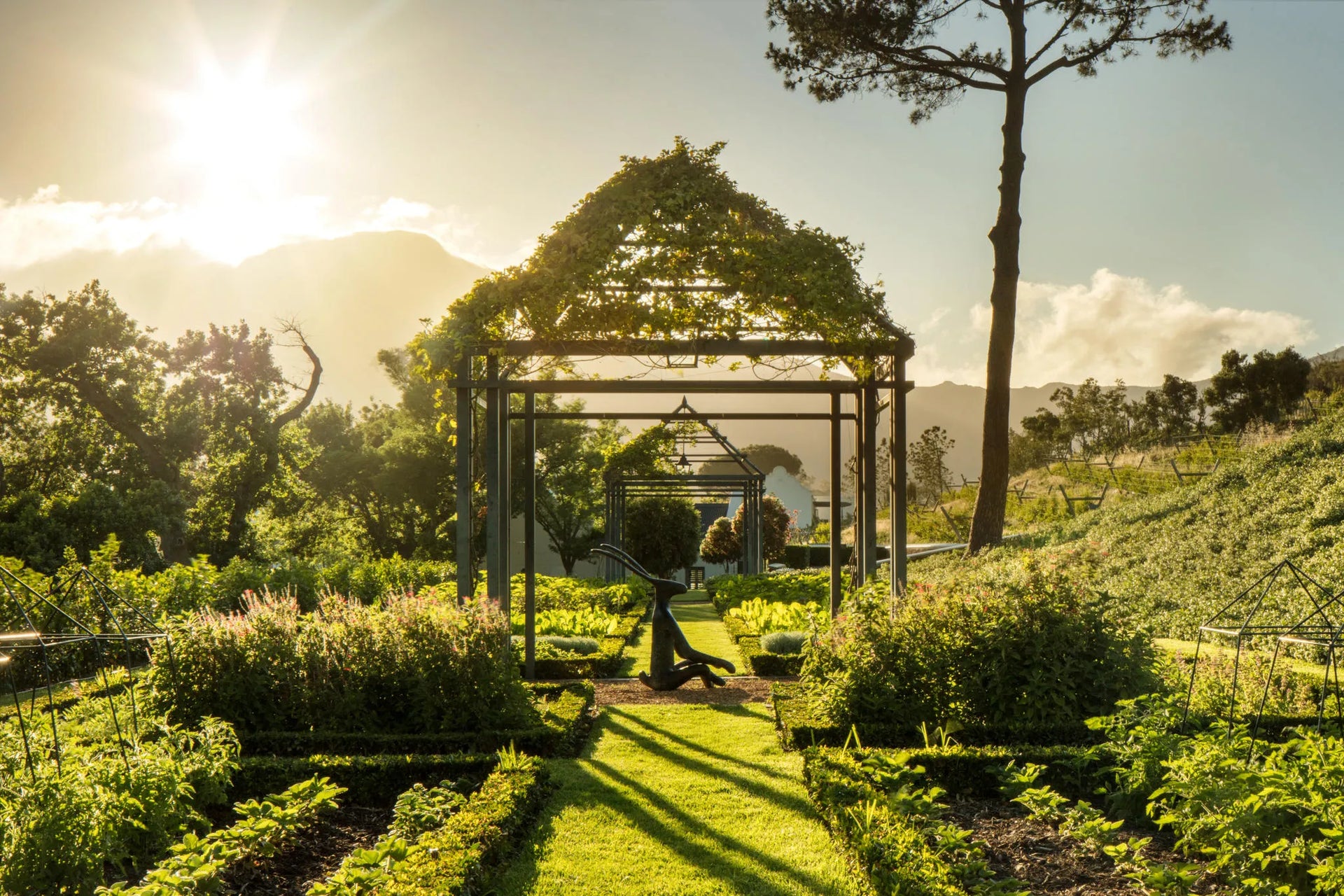 Leeu Estates - Herb Garden