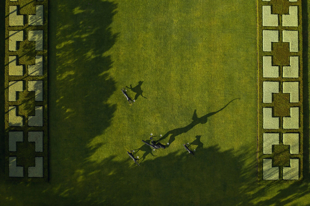 Leeu Estates - Landscape and Art