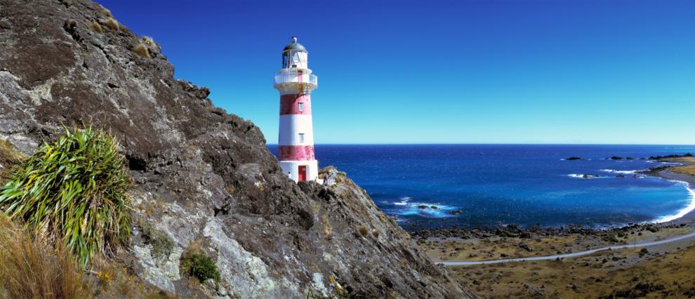 Seal Colony & Lighthouse Tour