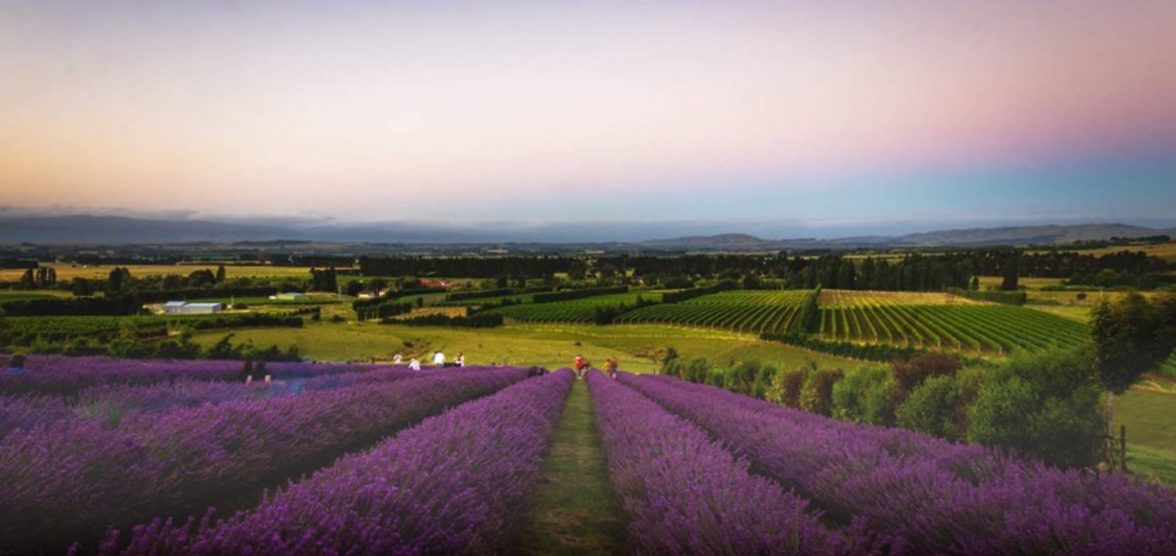 Wairarapa Artisans Tour