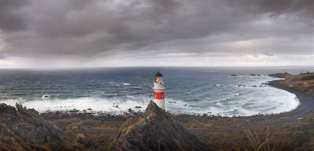 Seal Colony & Lighthouse Tour
