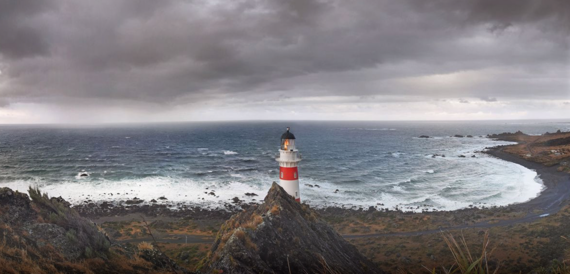 Seal Colony & Lighthouse Tour