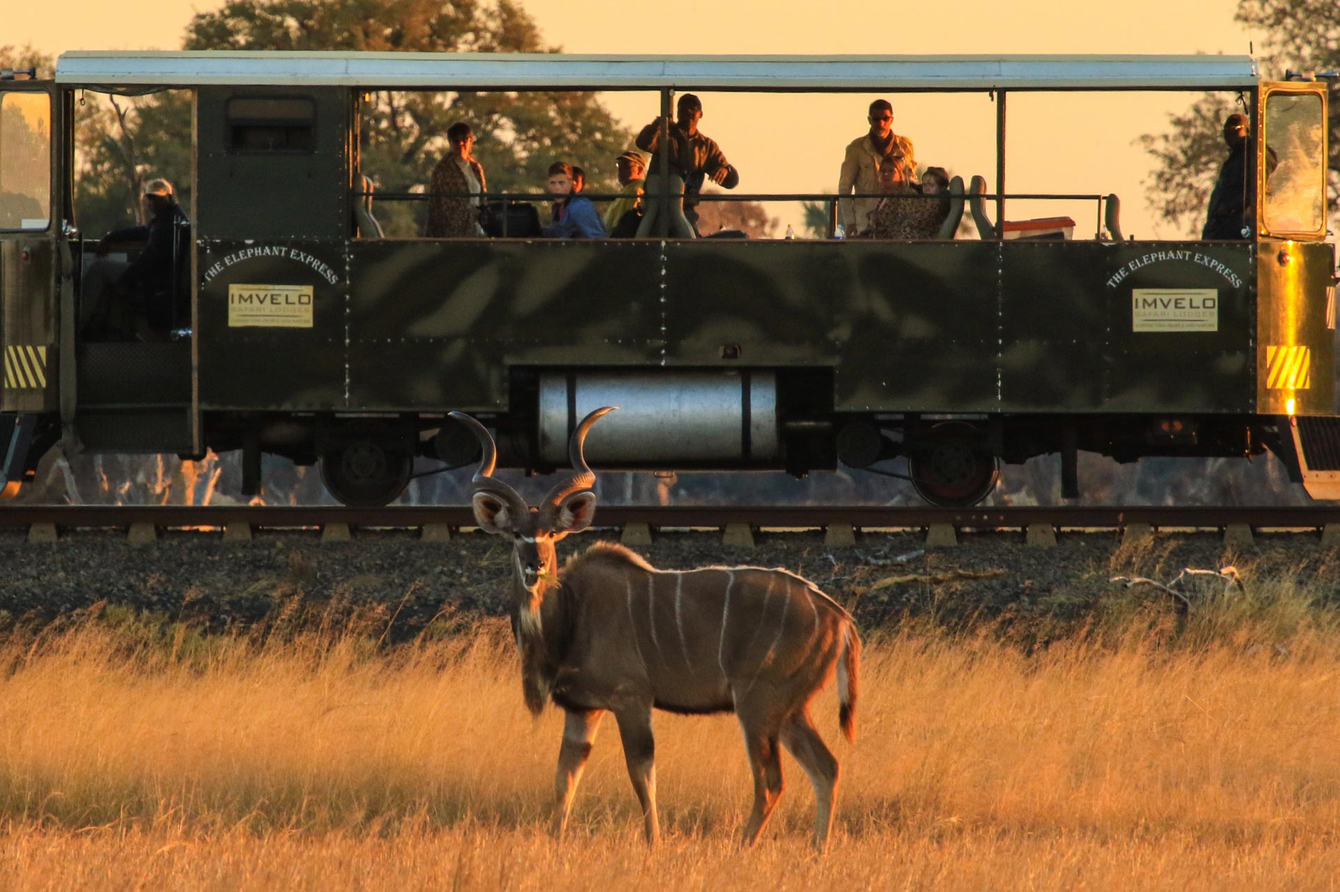 The Elephant Express