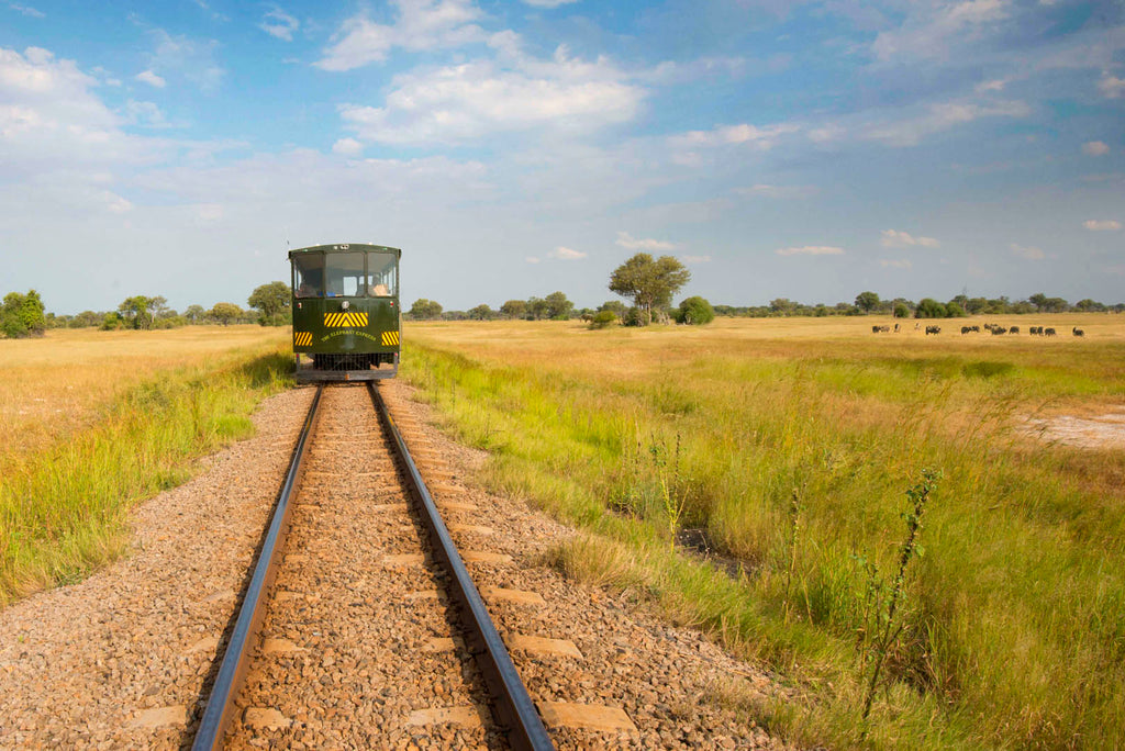 The Elephant Express