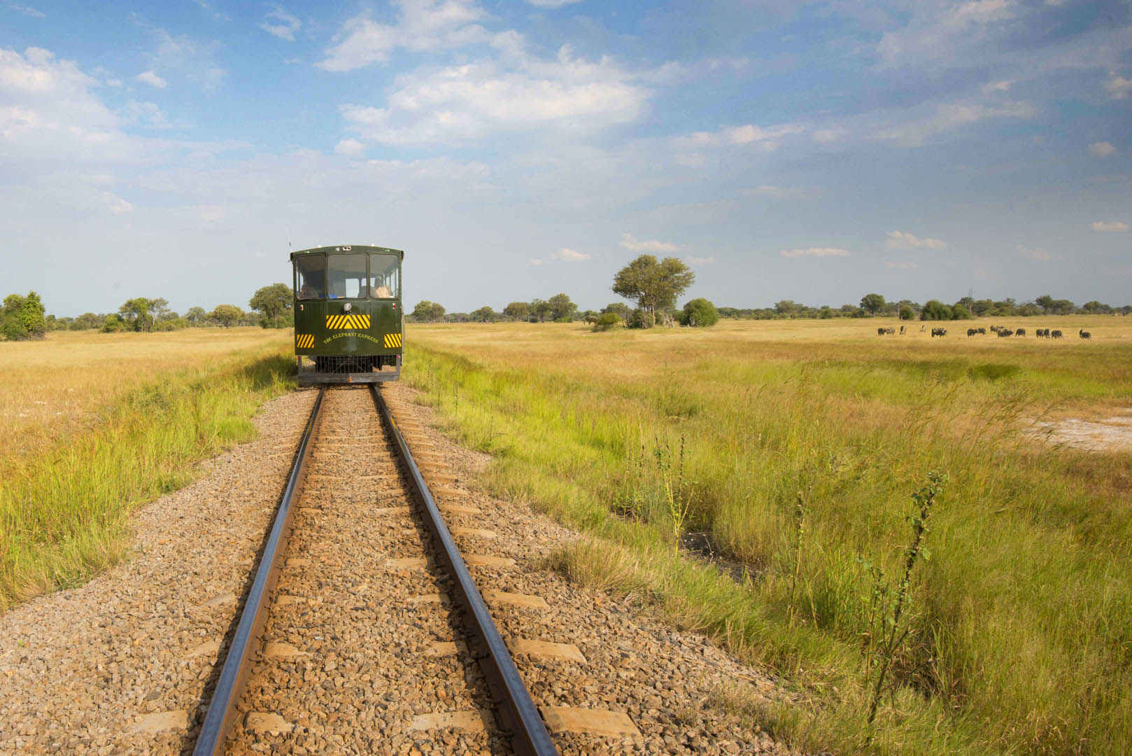 The Elephant Express