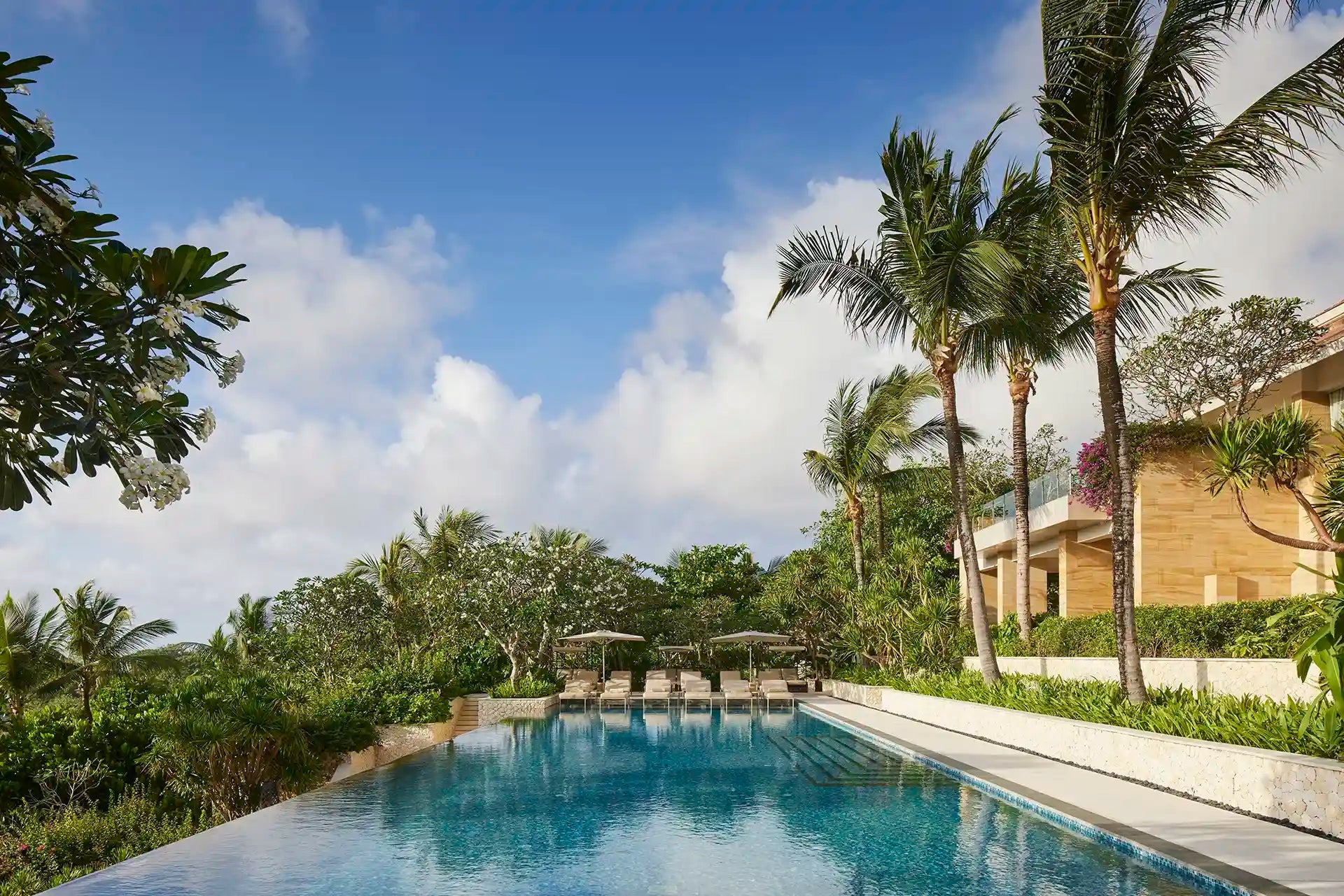 The Mulia