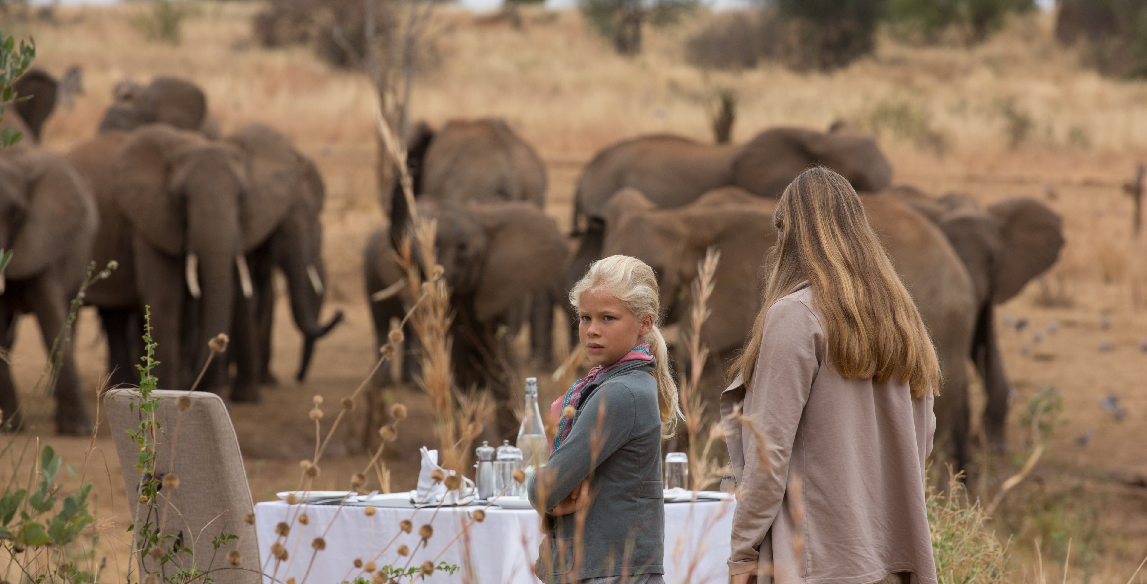 Waterhole viewing