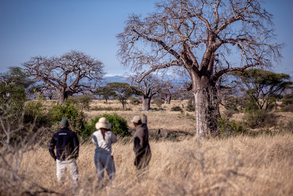 Walking safari