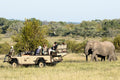Elephant introduction