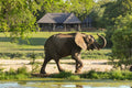 Wild about Inyati