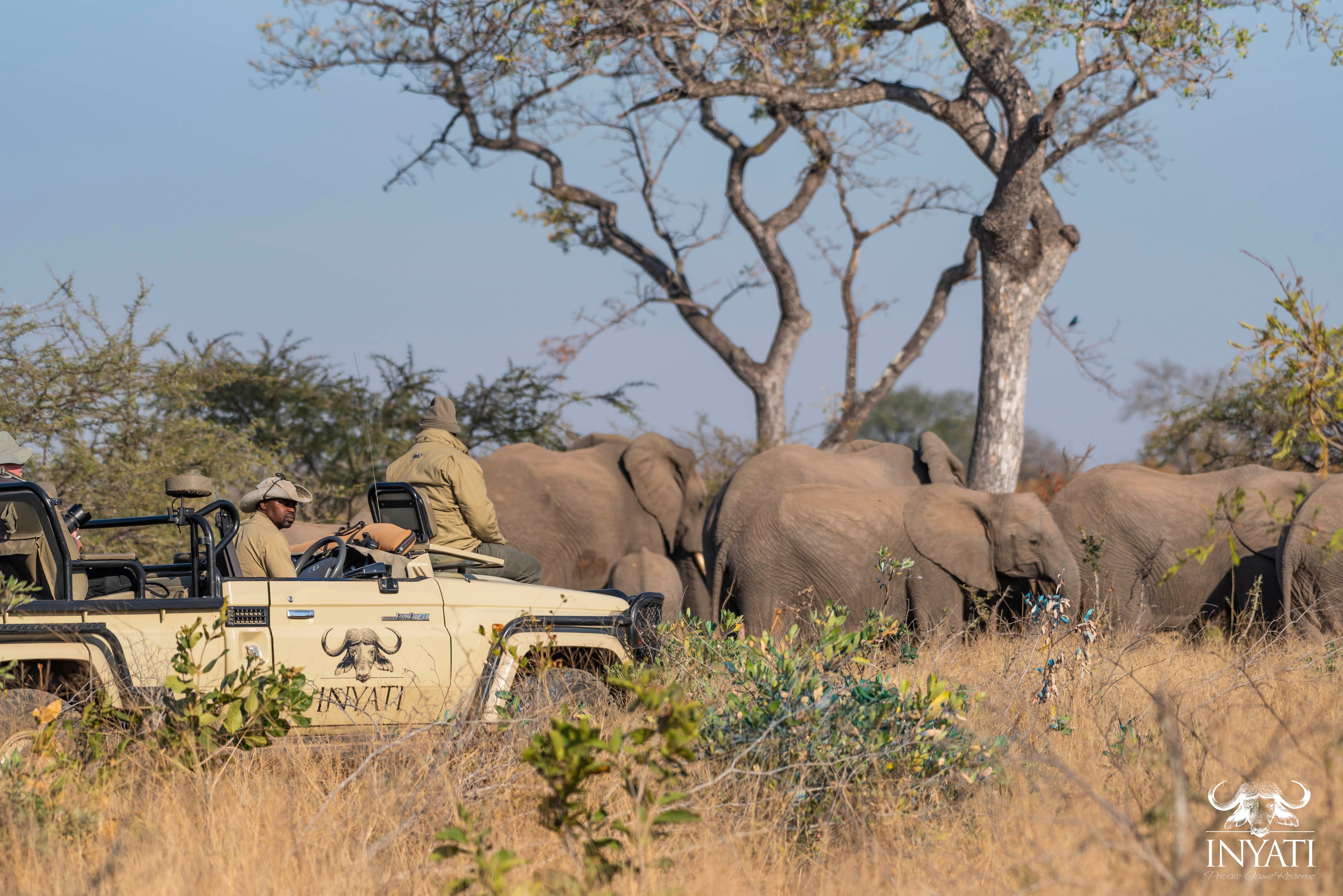 #inyatisafari