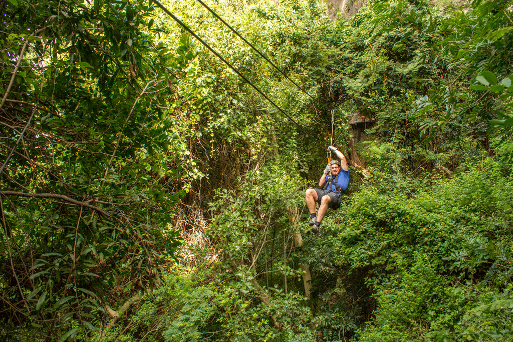 A zipline