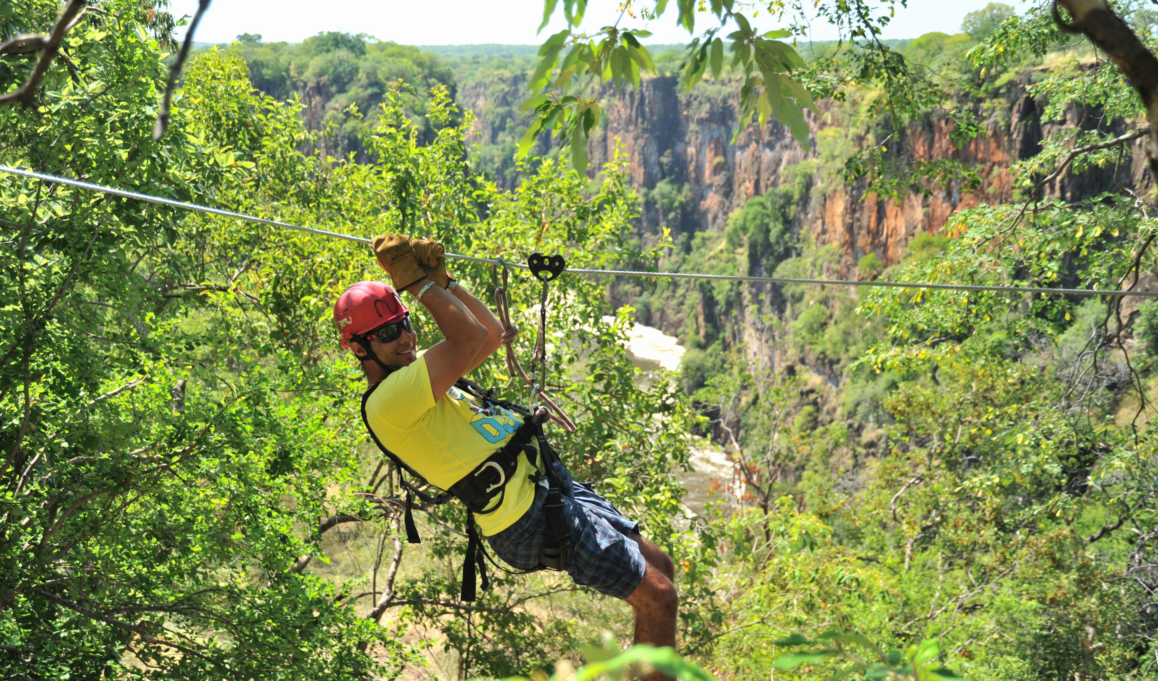 Canopy Tour