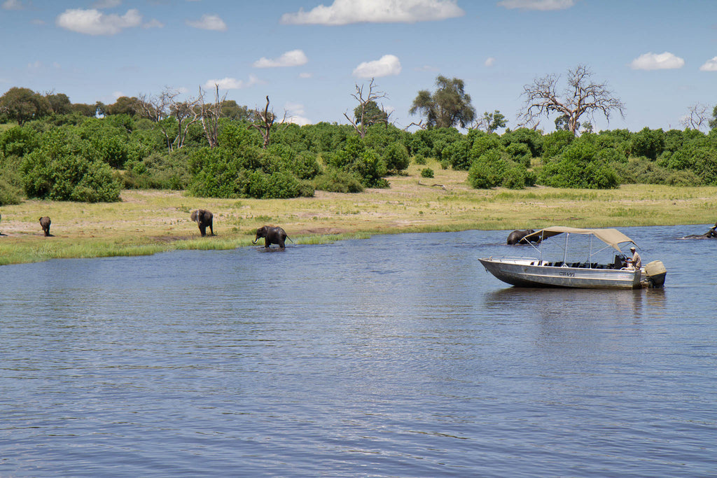 Chobe Cruise Boat - Aluminium boat