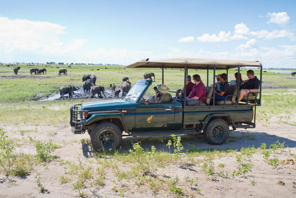 Game Drive Vehilce