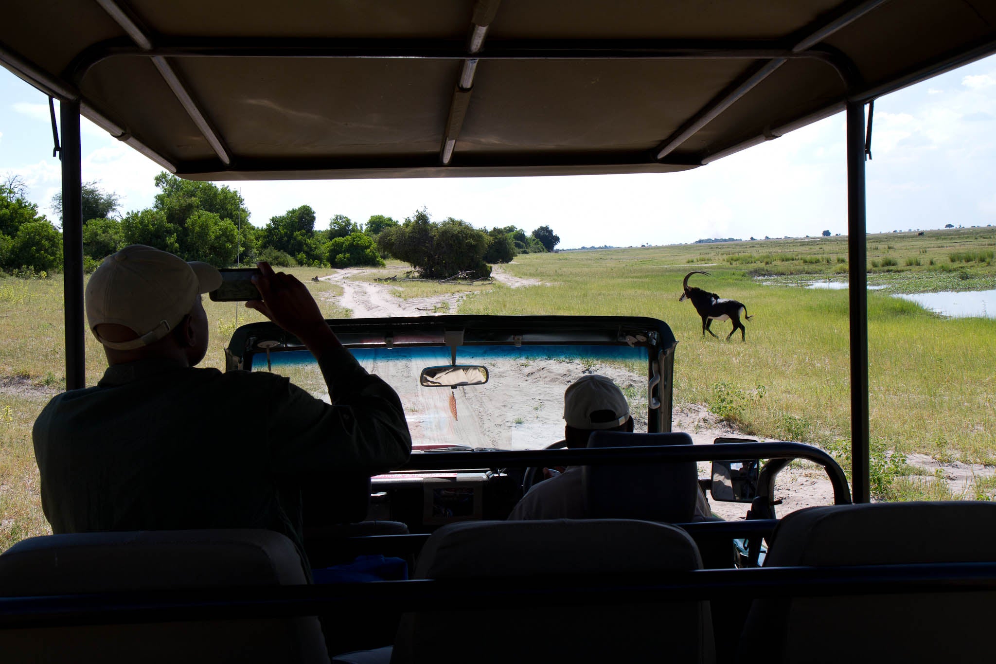 Chobe National Park Game Drive