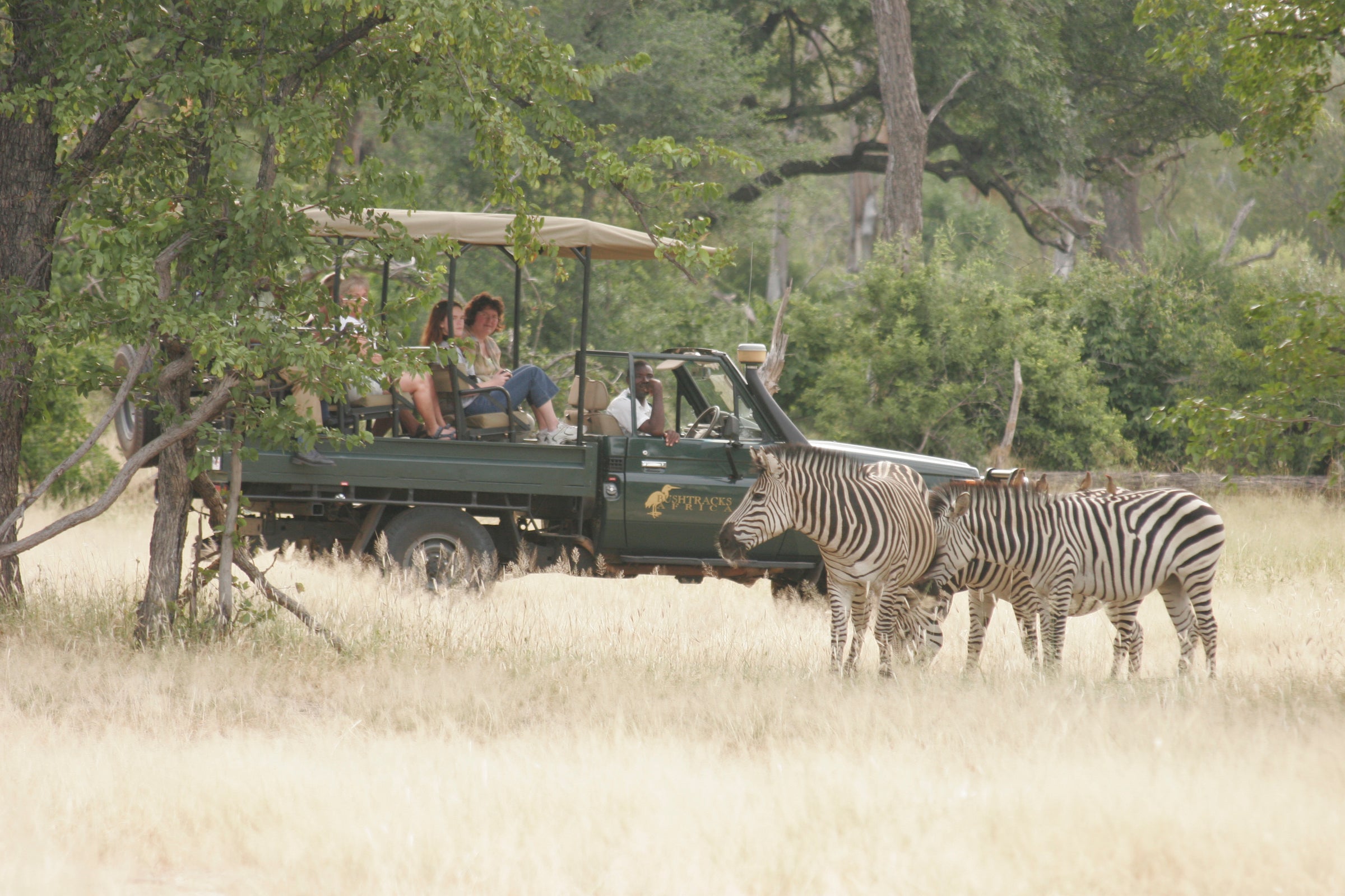 Bushtracks Africa Mosi-Oa-Tunya Game Drives