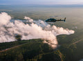 Flight Of The Angels