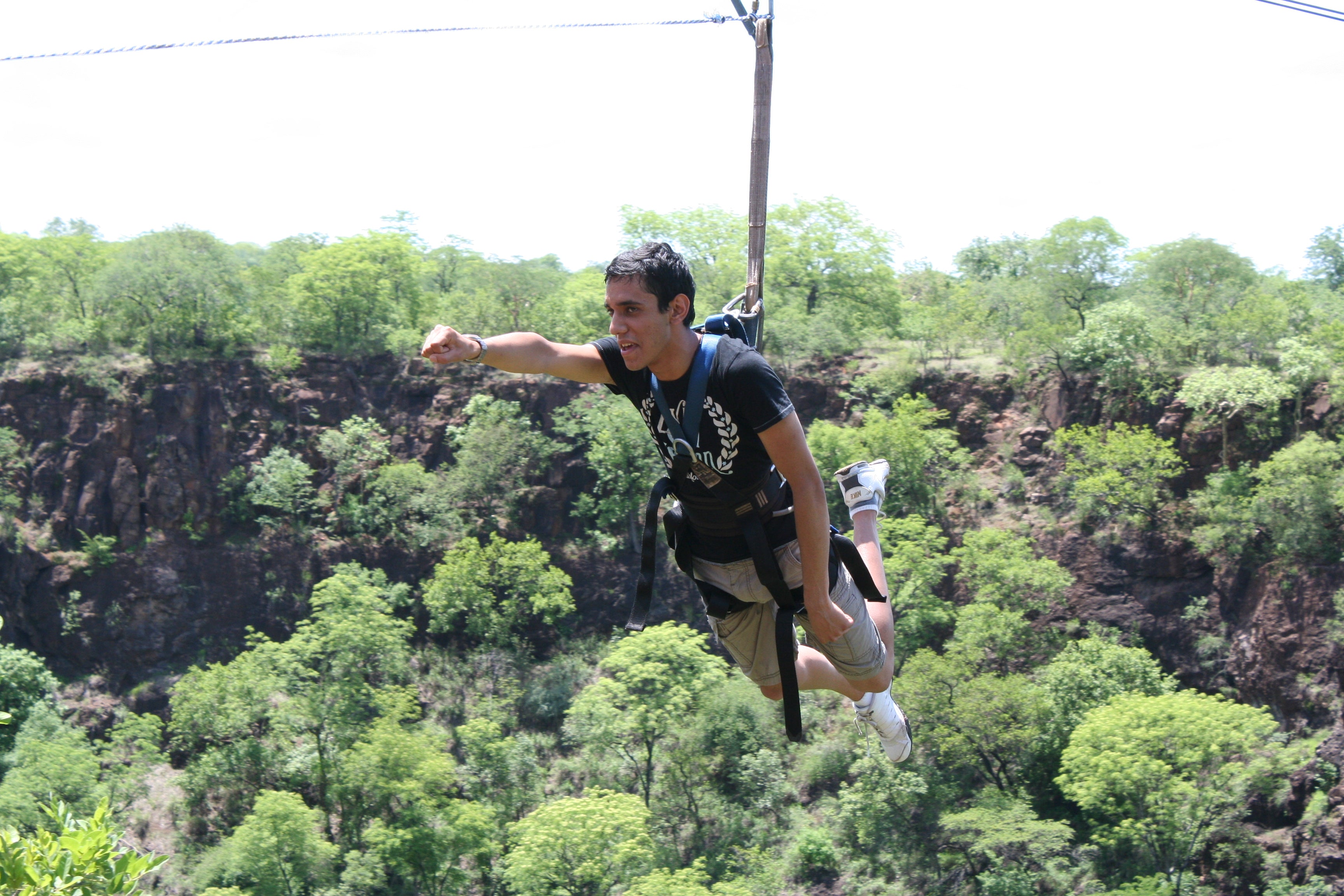 Flying Fox