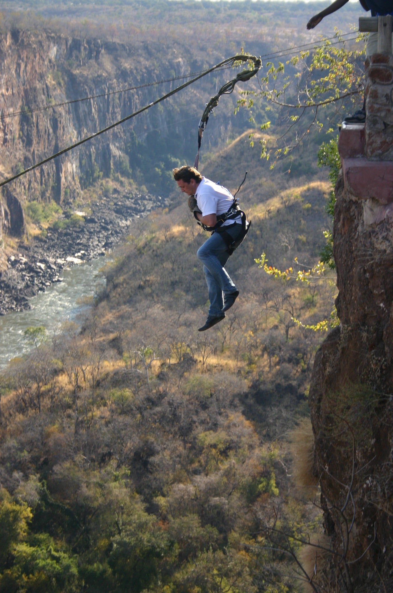 Bridge Swing