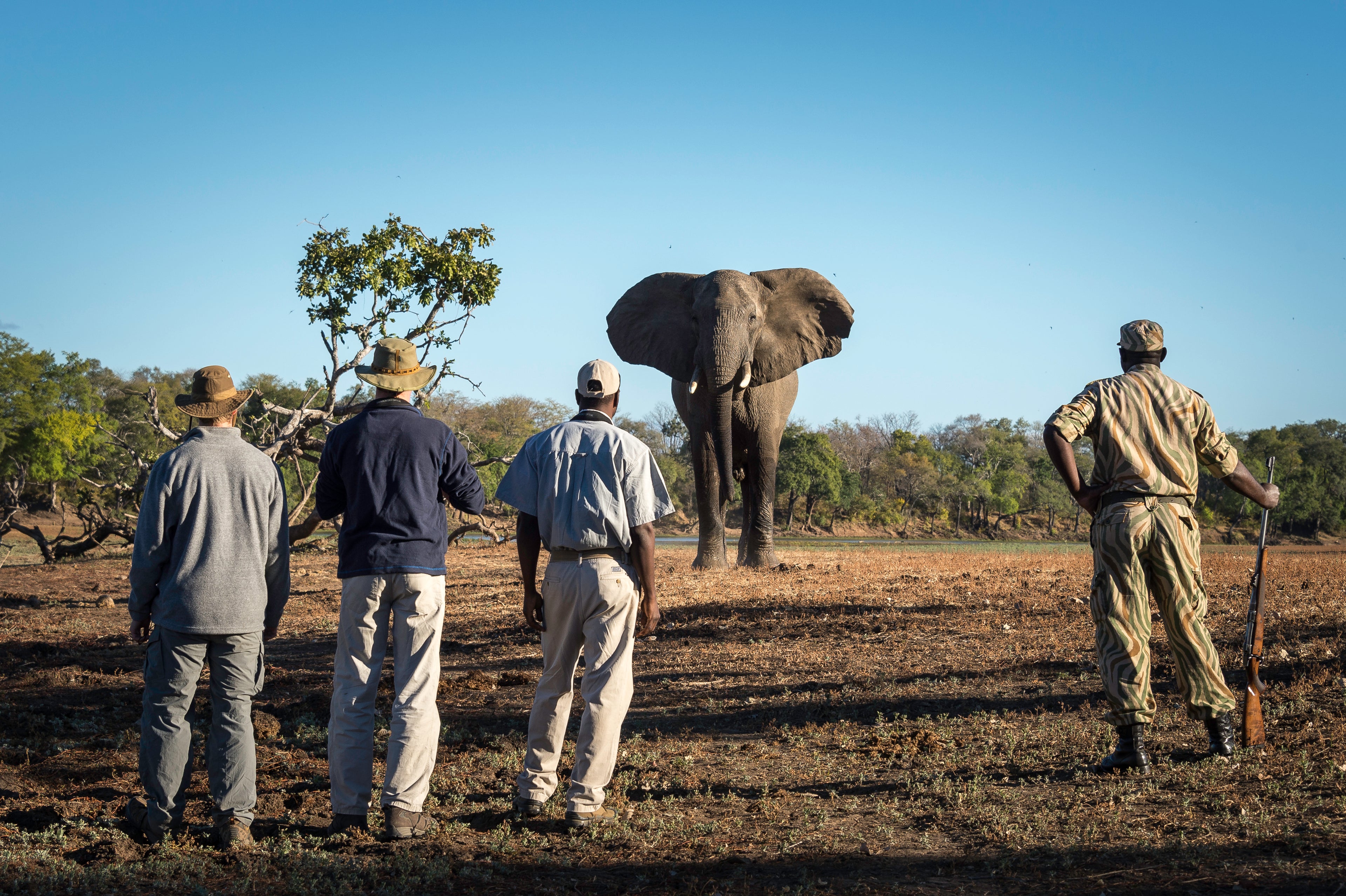 Walking safari