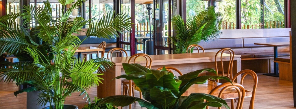 Kingfisher Bay Resort