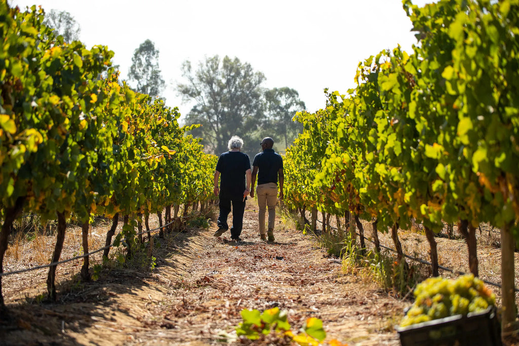 Winelands Experience at One&Only Cape Town, Cape Town, South Africa.