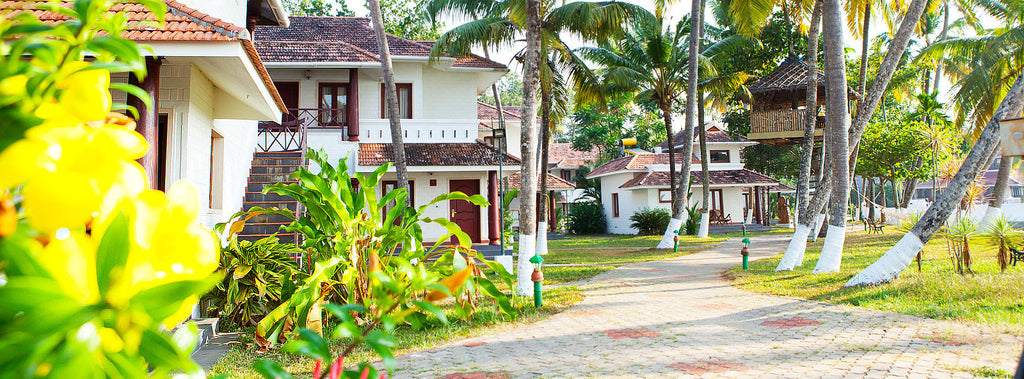 The World Backwaters