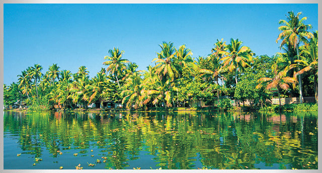The World Backwaters