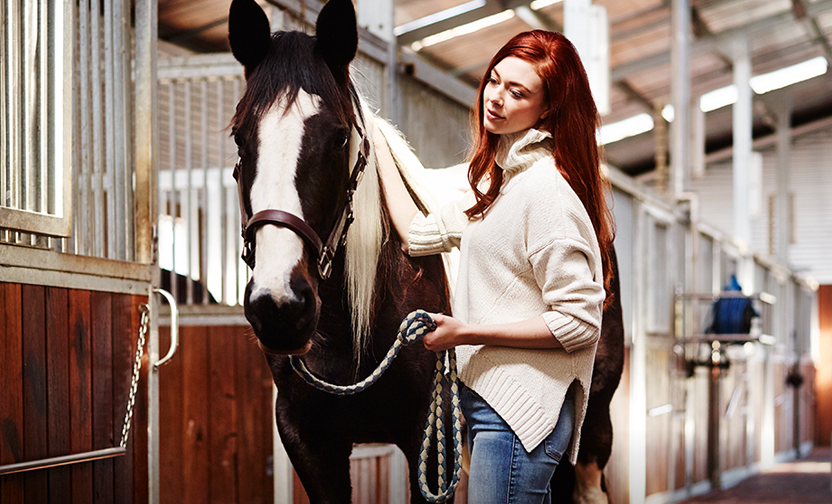 Horse Riding Experiences