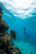 Reef Dive Experience 